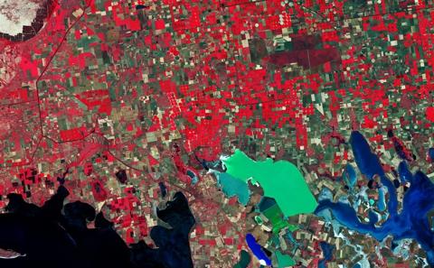 Enhanced monitoring of terrestrial vegetation from space